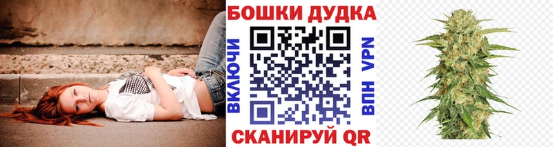  COCAIN Кандалакша
