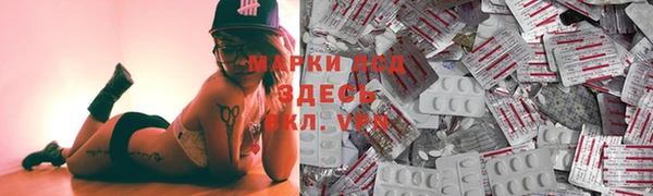 мяу мяу мука Абаза