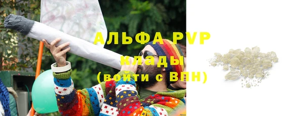 мяу мяу мука Абаза