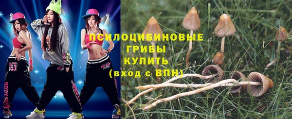 мяу мяу мука Абаза