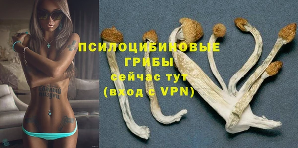 мяу мяу мука Абаза