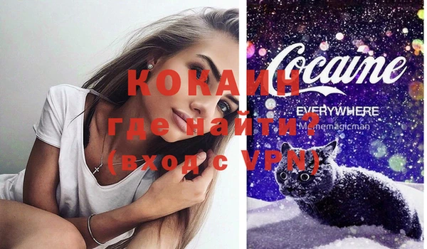 мяу мяу мука Абаза
