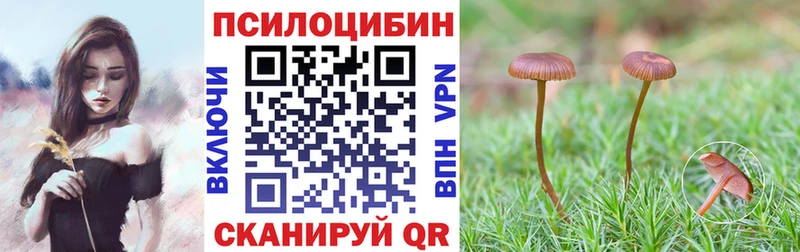 Галлюциногенные грибы Magic Shrooms мориарти какой сайт Кандалакша
