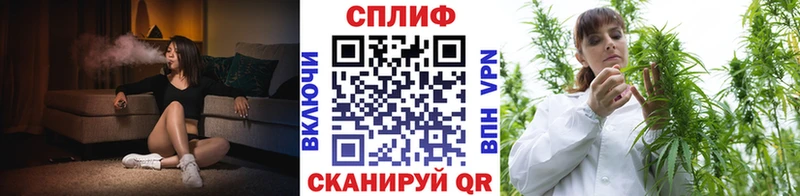 наркота  Кандалакша  Канабис марихуана 